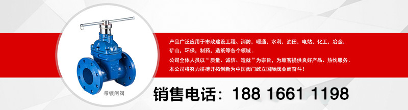 埃維柯閥門AVKFM